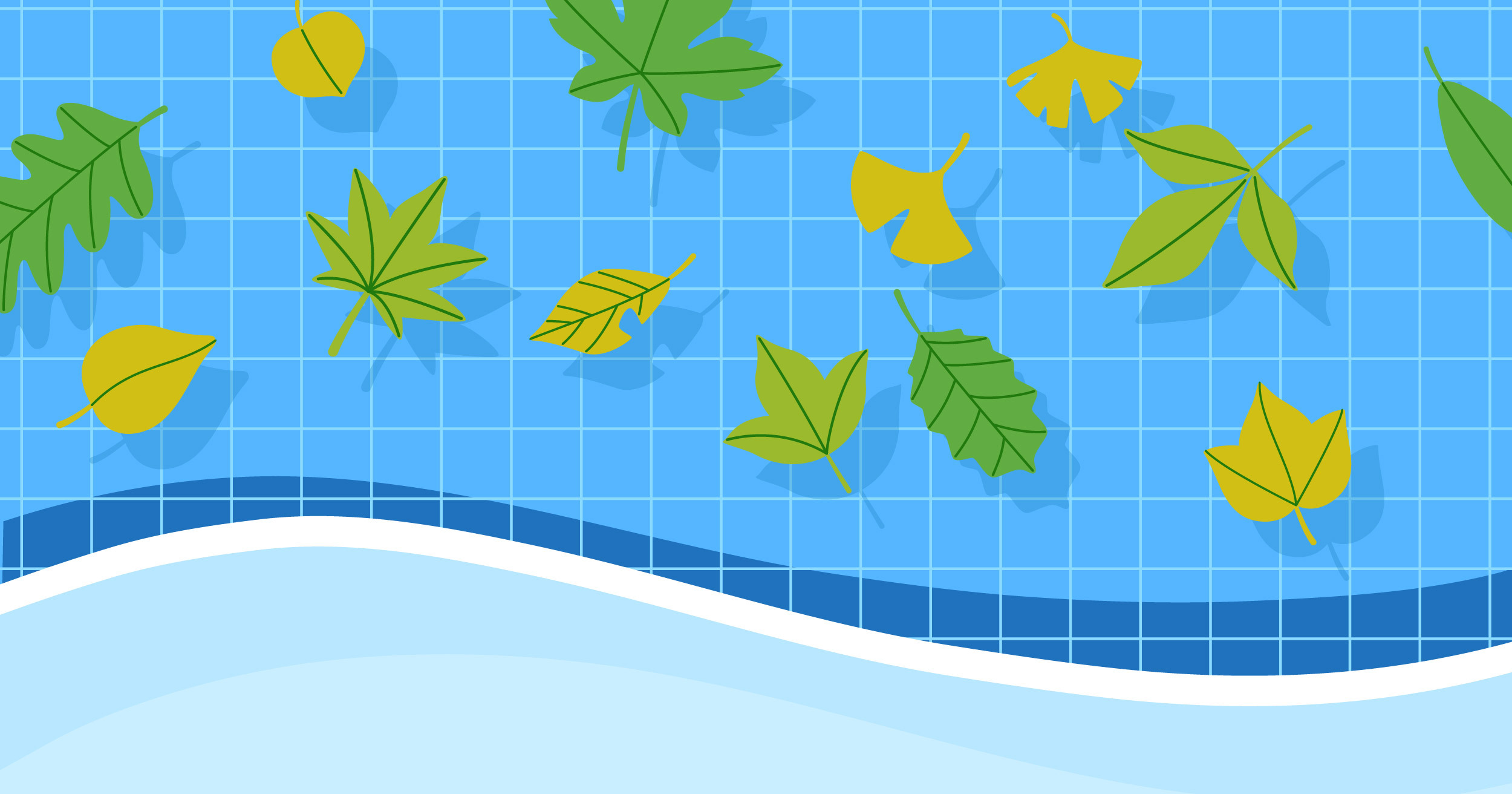 Leaves in a swimming pool